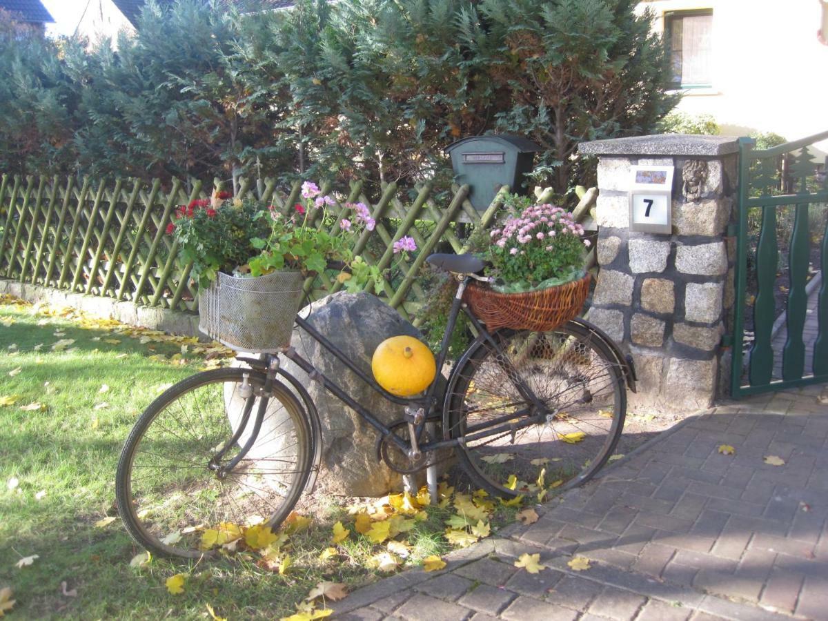 Pension Zum Weissen Hirsch Reitwein Exterior foto
