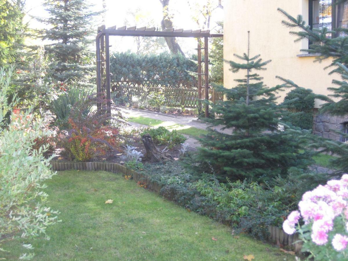 Pension Zum Weissen Hirsch Reitwein Exterior foto