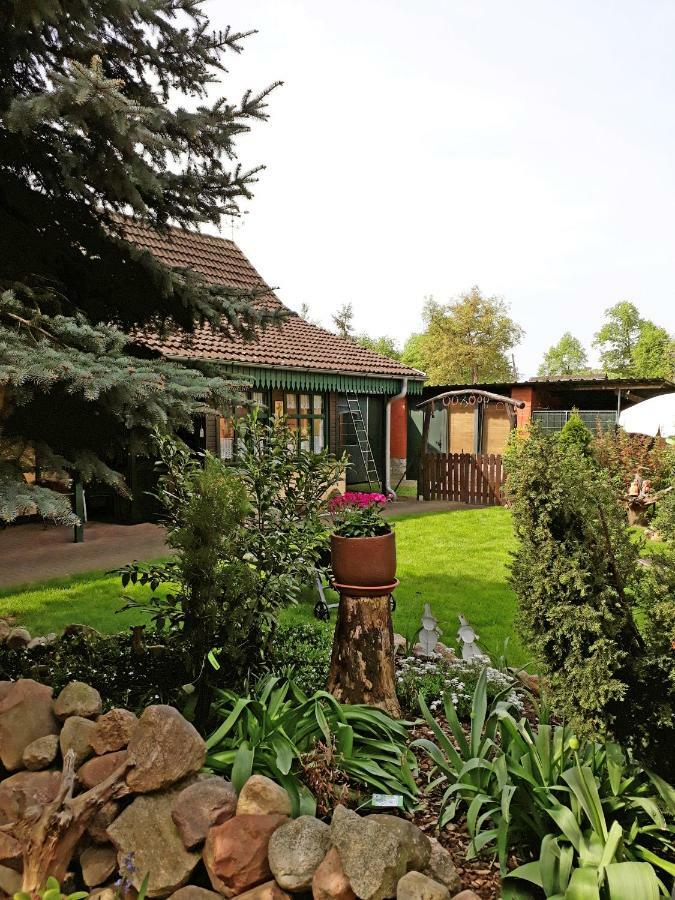 Pension Zum Weissen Hirsch Reitwein Exterior foto