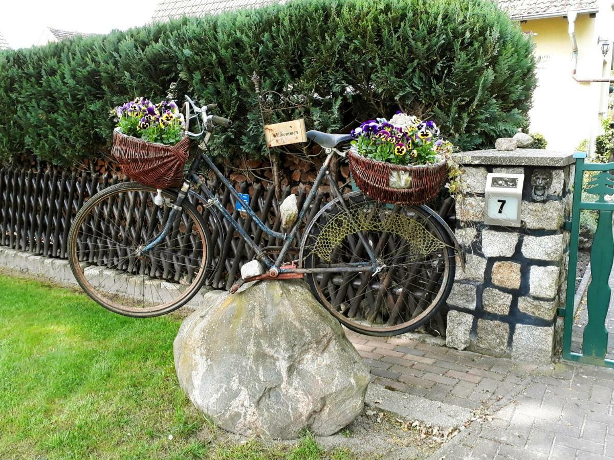 Pension Zum Weissen Hirsch Reitwein Exterior foto